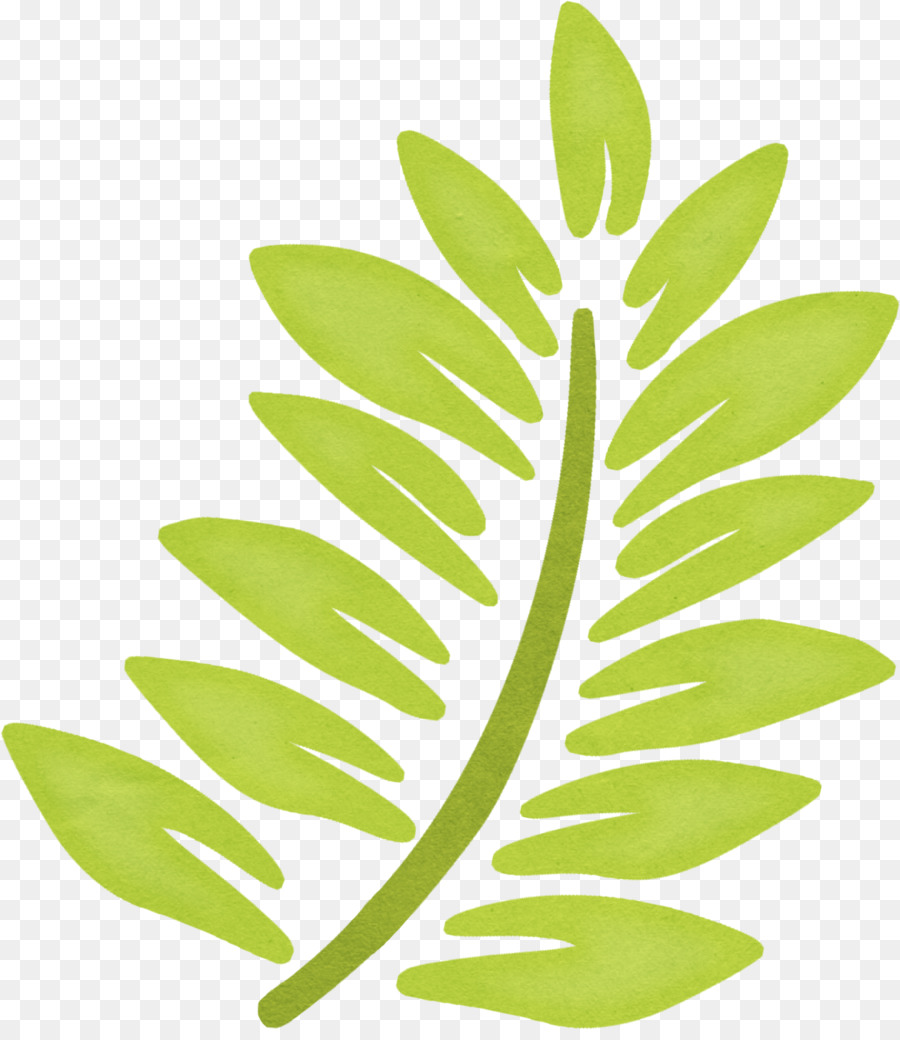 Leaf Tragbare Netzwerkgrafikgrafik herunterladen - Bananenblatt png grün