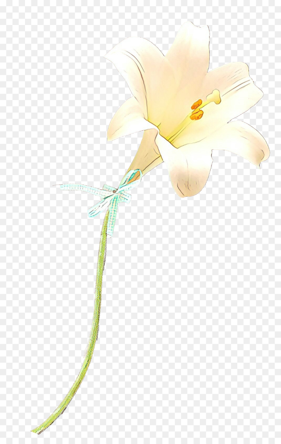 Moth Orchideen Schnittblumen Pflanzen Stammzellen Krautige pflanze - 