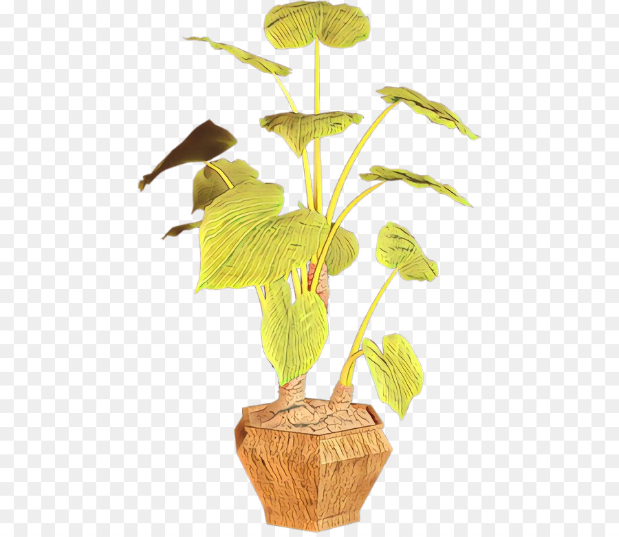 Blatt, Blumentopf, Pflanze, Stamm Zimmerpflanze - 
