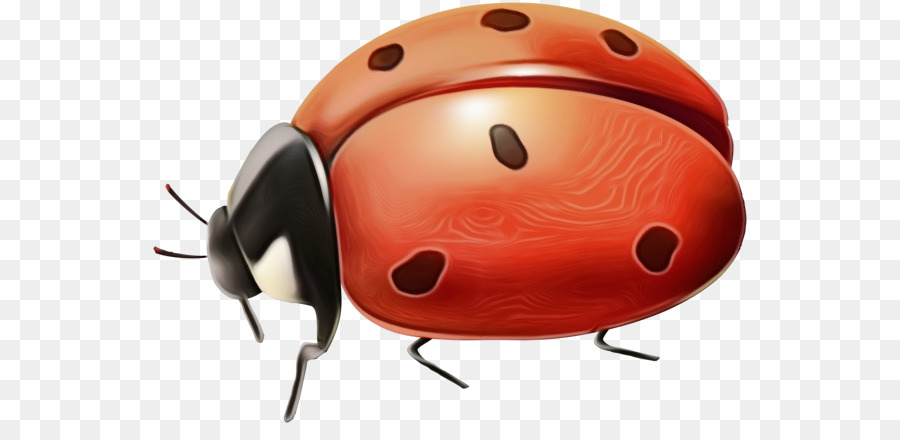 Ladybird Clipart