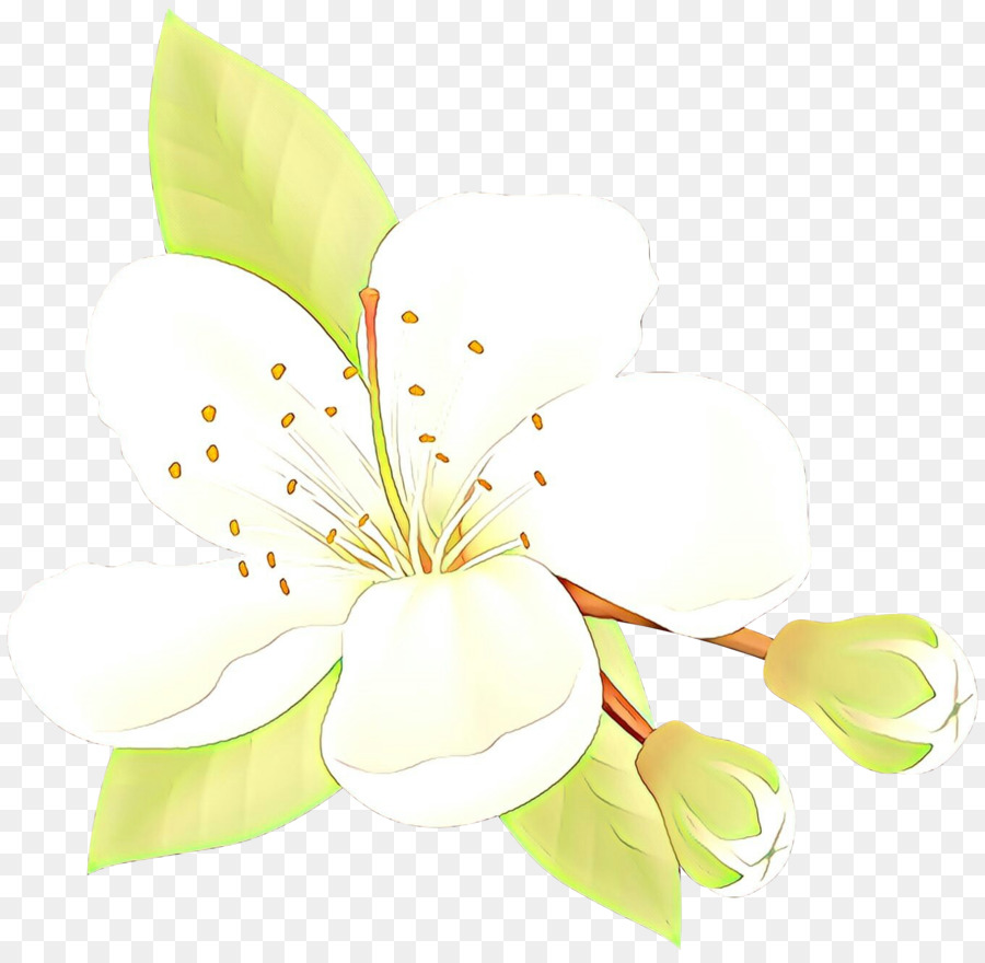 Hoa thiết kế Cắt hoa gốc Thực vật Cánh - 