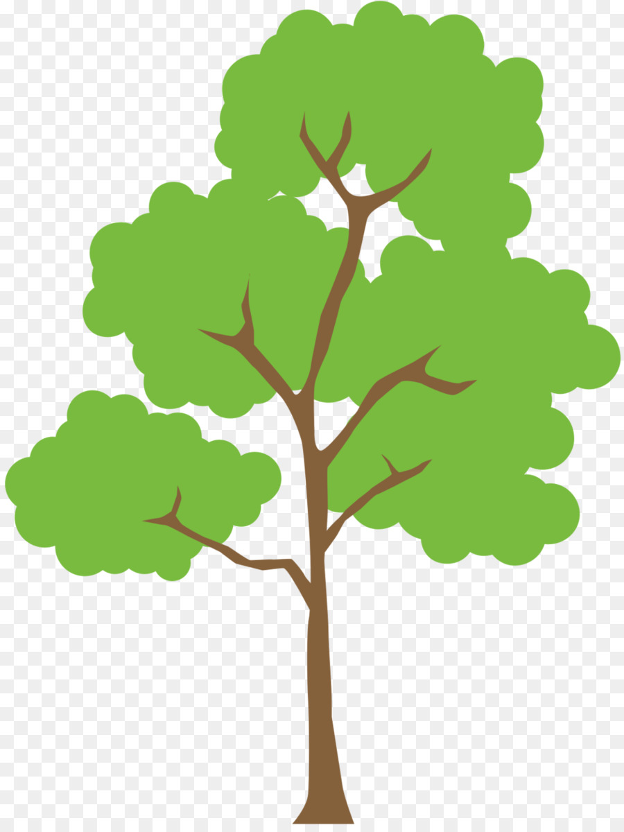Oak Tree Leaf