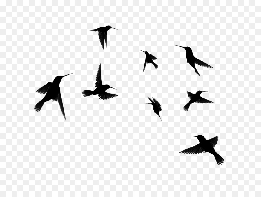 Grafica di rete portatile di volo ClipArt Hummingbird - affari di becchime