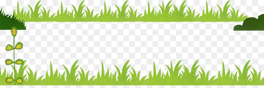 Rasenwiesenvetiver Wheatgrass-Vegetation - 