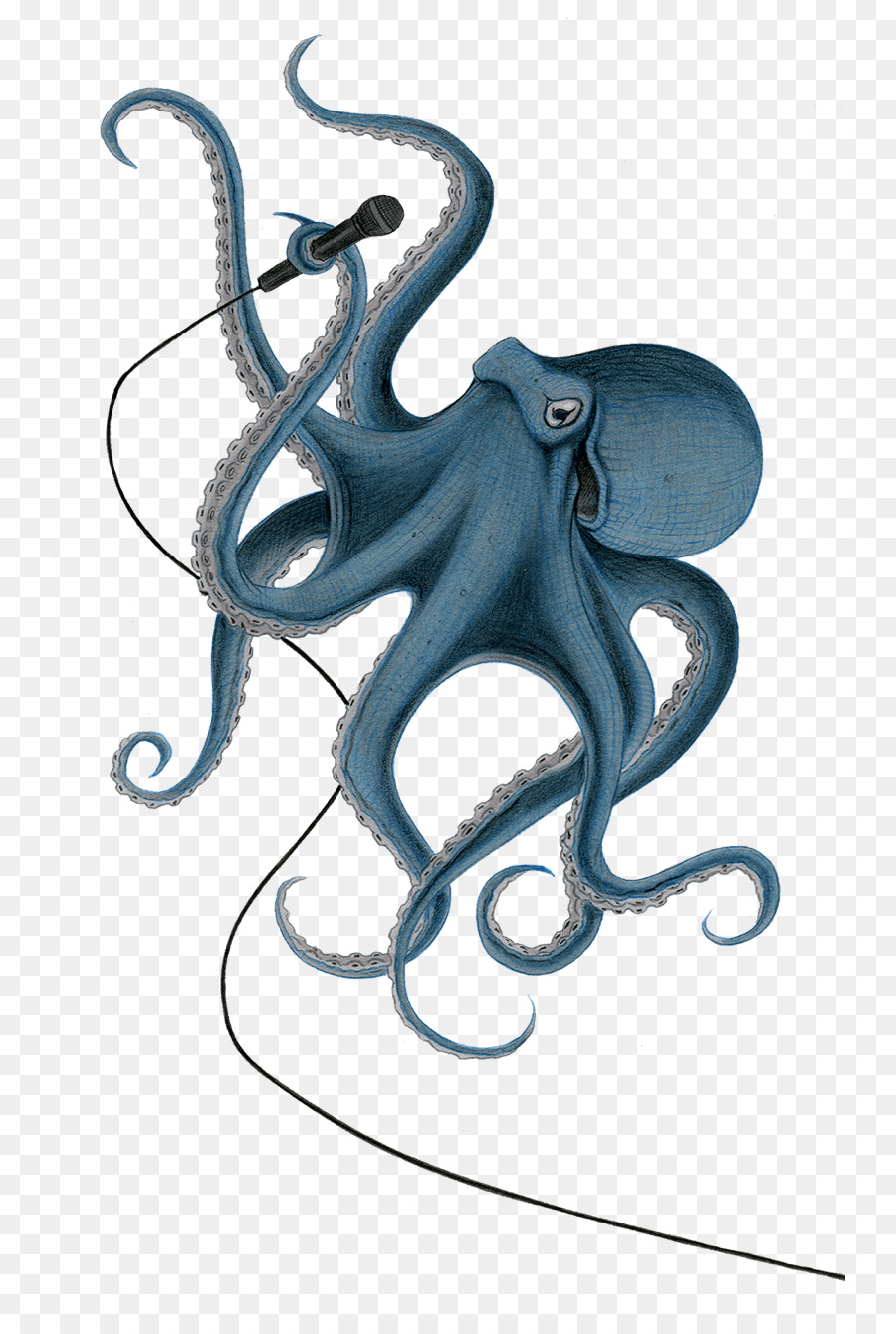 Octopus / m / 02csf Zeichnung Cephalopod Illustration - 