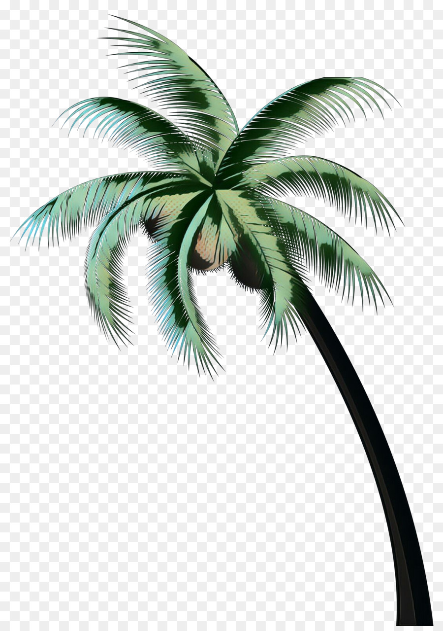 Palma palmyra asiatica Spazio Choco Sindaco di Port Bouet Organizzazione Hambol - 