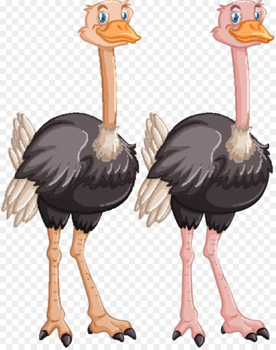 Strauß Vogel Emu menschliches Gehirn - 