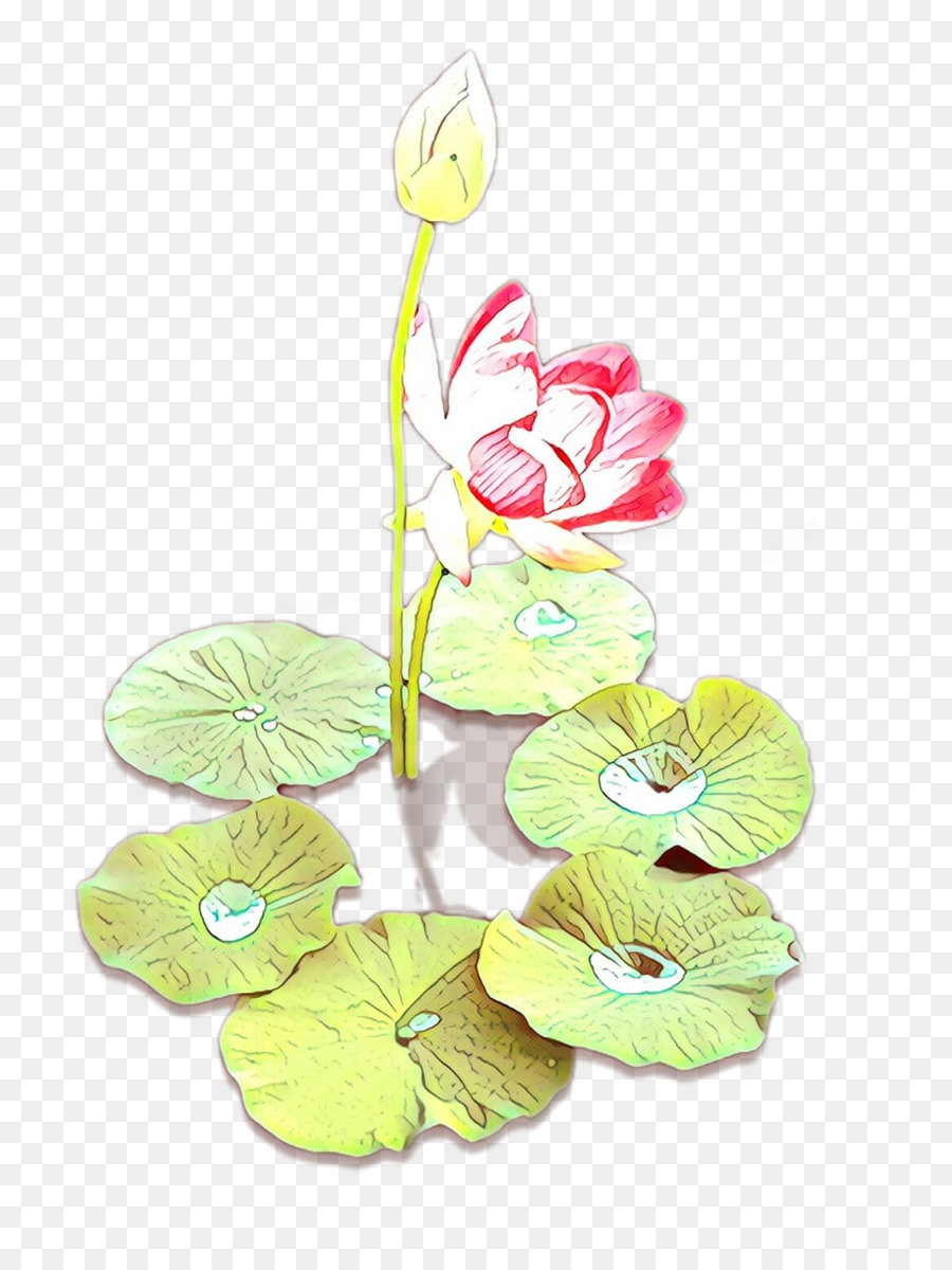 Blütenblatt Cut Blumen Floral design Pflanze Stiel - 