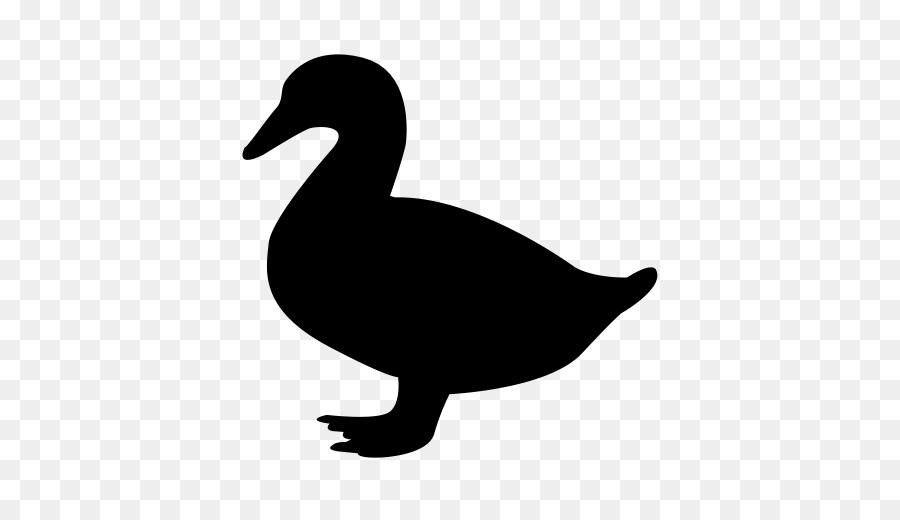 Duck Grafica vettoriale Goose Clip art Silhouette - anatra contorno png nero