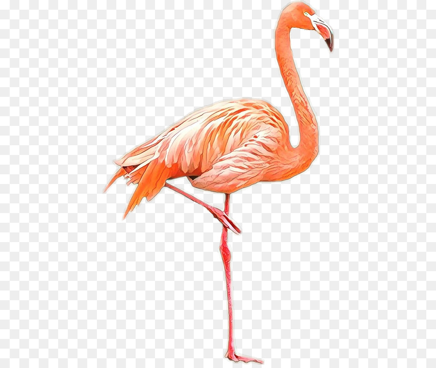 Vogel Amerikanischer Flamingo Flamingo Flamingo aus Kunststoff - 