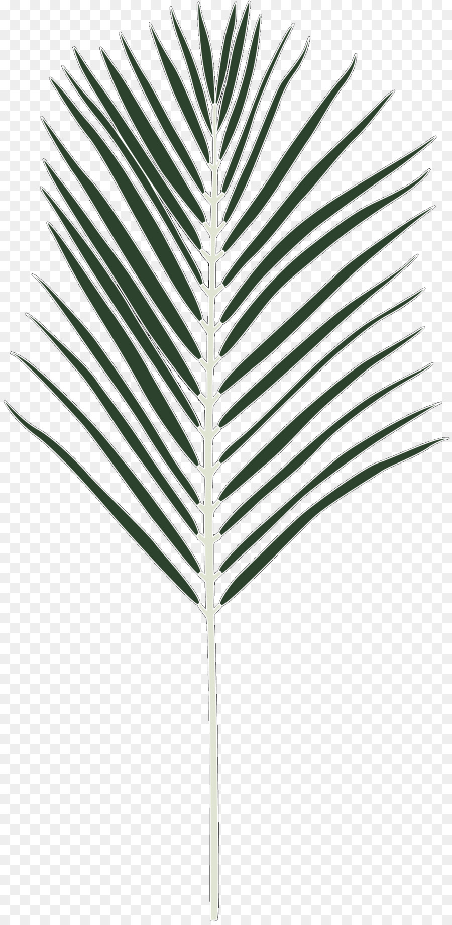 Palme Linea Leaf - 