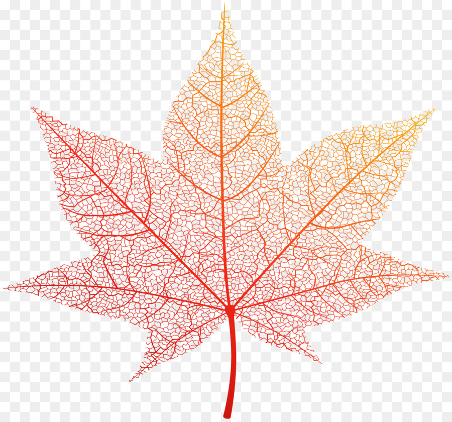 Portable Network Graphics Clip art Immagine foglia d'Autunno di colore - foglie d'oro foglie di madri png foglia d'acero