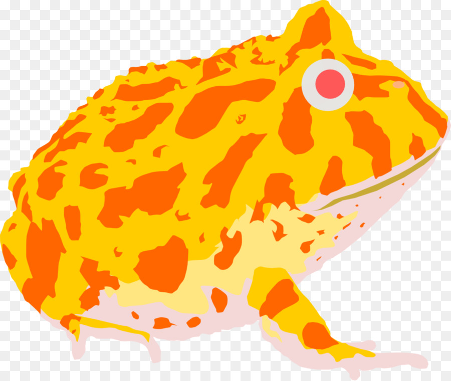 Con ếch sừng Pac-Man Argentina cóc cóc Đúng - pac man