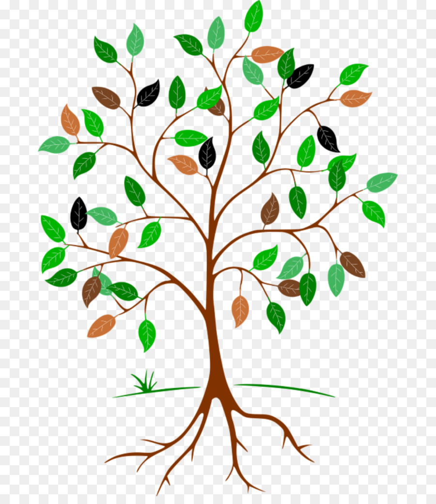 ClipArt Root Leaf Tree - tragbare Netzwerkgrafiken - Familienstammbaum-Clipart