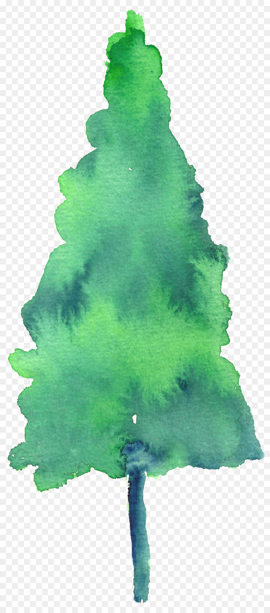 Weihnachtsbaum Weihnachtstag-Aquarell, der gezierte Kiefer malt -  Baumzeichnung Png Aquarell png herunterladen - 1024*2309 - Kostenlos  transparent Grün png Herunterladen.