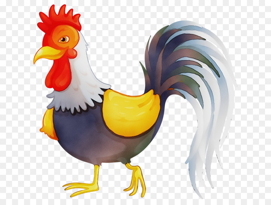 Immagine di fotografia di rete portatile gallo di pollo - 