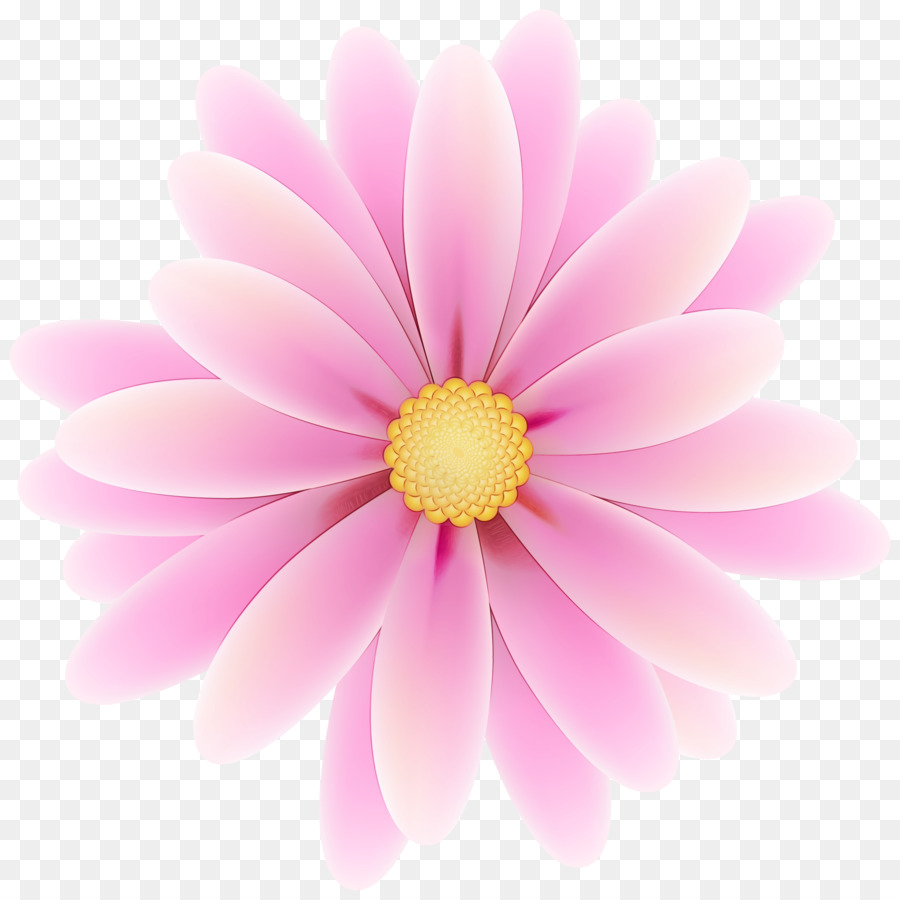 Minh họa Hoa cúc Marguerite daisy Silhouette Margaret - 