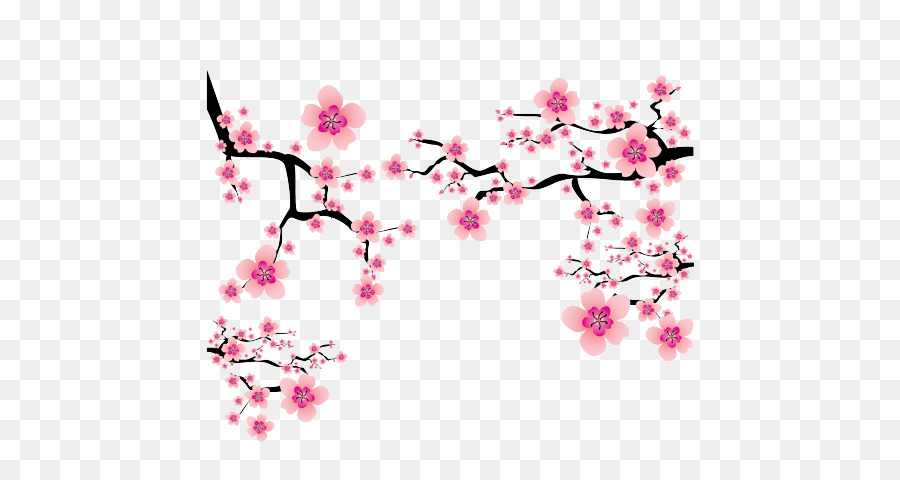Cherry Blossom Đồ họa mạng di động Đồ họa Vector Hình nền máy tính để bàn Minh họa - hoa nền png hoa anh đào