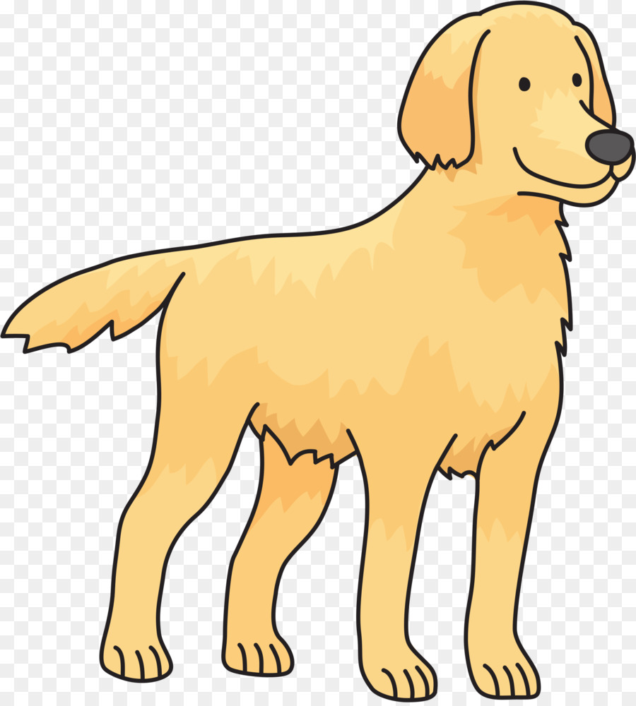 Golden Retriever Labrador Retriever Puppy Barboncino Retriever con rivestimento piatto - cane png animale