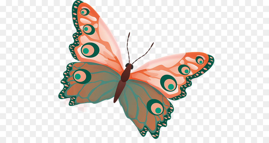 Butterfly Clip art Mạng di động Đồ họa Côn trùng Minh bạch - bướm clip nghệ thuật png clipart hình ảnh