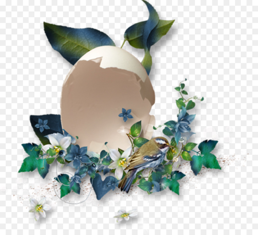 Flower Image Portable Network Grafica Blog Coquilles - goblin del guscio d'uovo png border border della gioventù