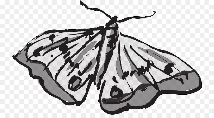 Monarch butterfly Clip art grafica Vettoriale Portable Network Graphics - le ali