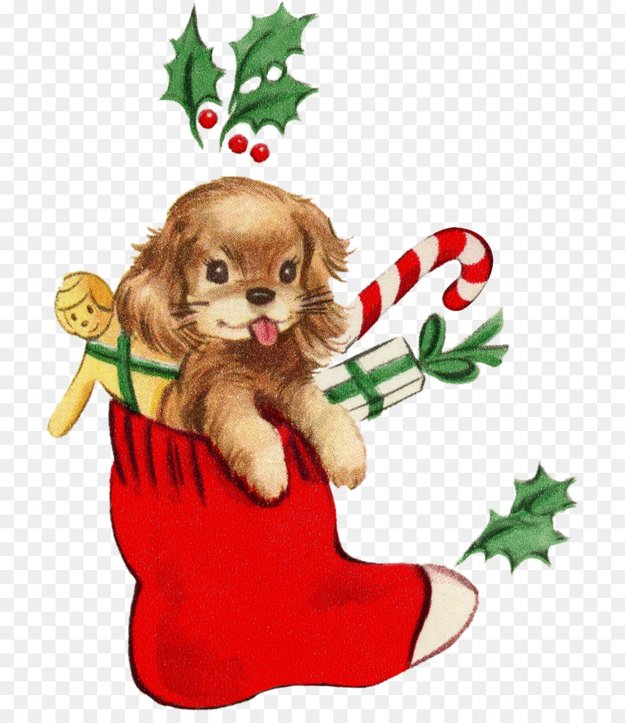 Welpen-Hunderasse Begleithund Spaniel-Samoyedhund - gratis weihnachtshund