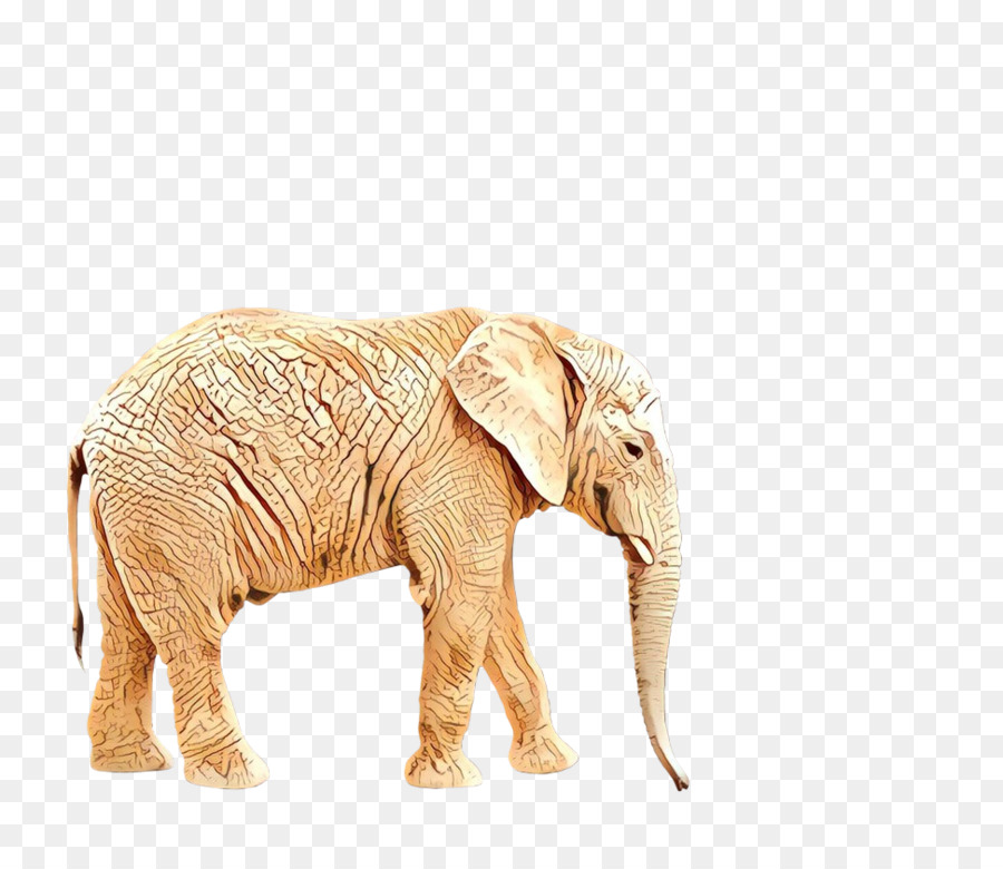 Indischer Elefant Afrikanischer Elefant Nashorn Fotografie - 