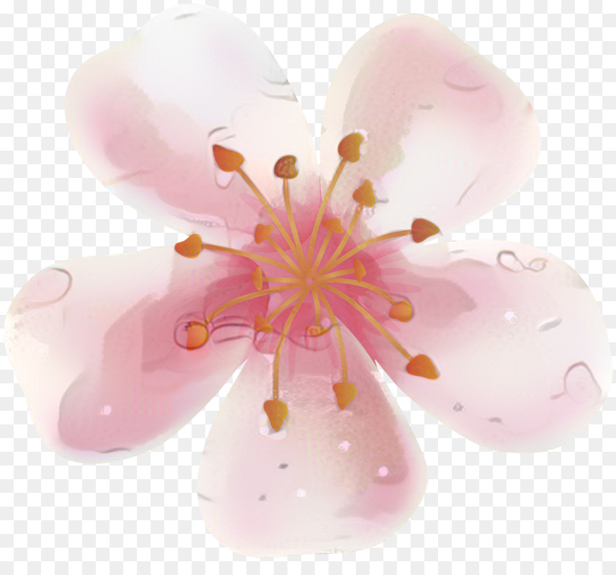 ST.AU.150 MIN.V.UNC.NR AD Cherry blossom Pink M Close-up - 