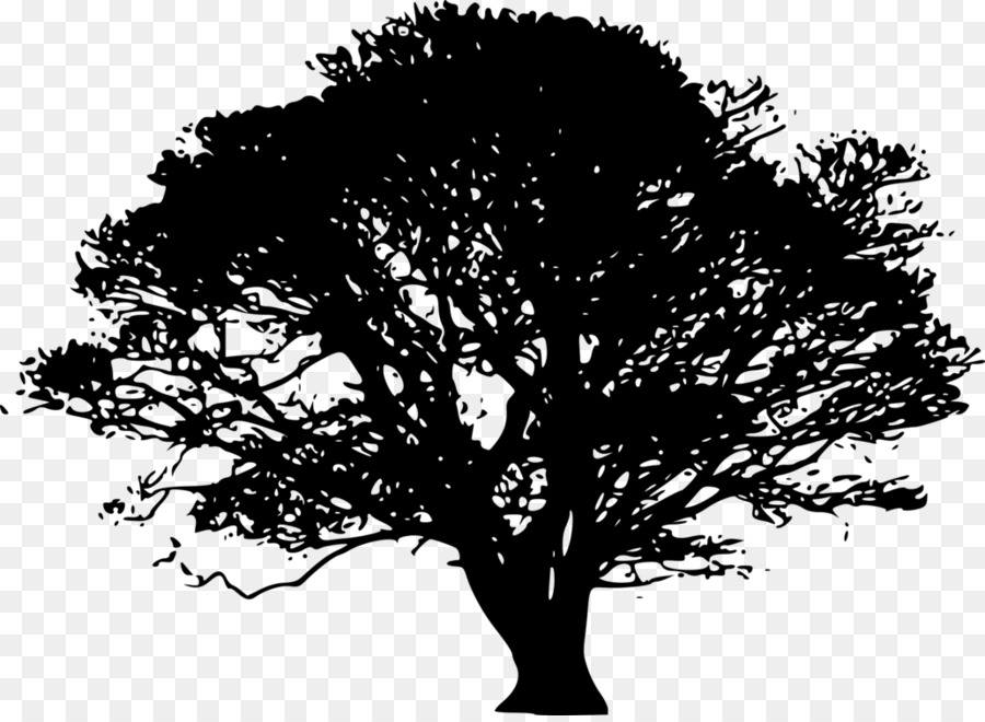 Baum englische Eiche weiße Eiche Clip Art Branch - gemeiner Feigenbaum