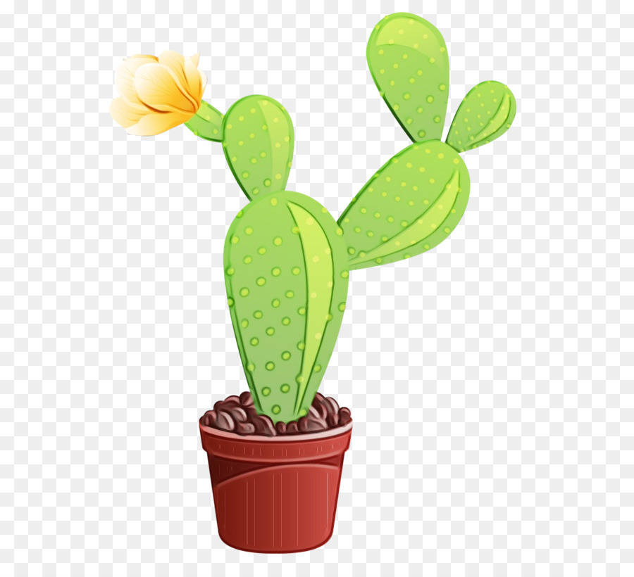 Cactus Clip art Mạng di động Đồ họa thực vật thân cây - 