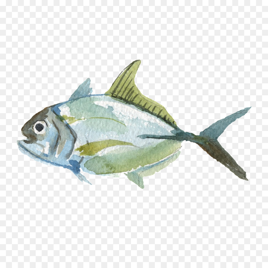 Bức tranh màu nước Sardine Fish Monotyping - cá chim hoàng yến png Thái Bình Dương