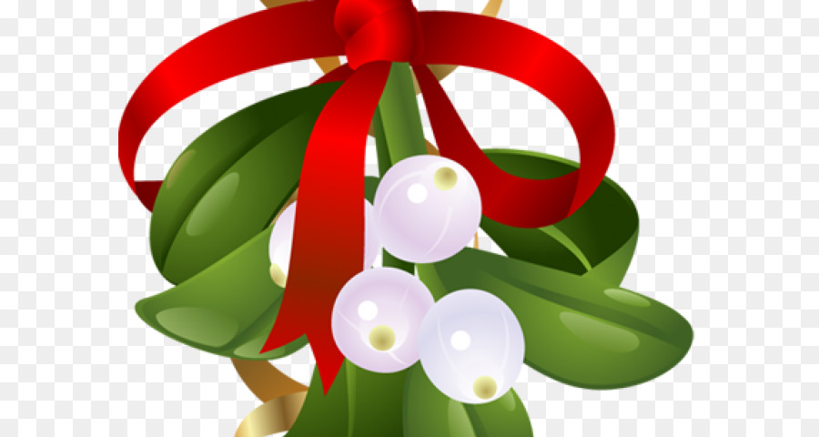 Mistletoe Portable Network Graphics Clip nghệ thuật Ngày Giáng sinh Trang trí Giáng sinh - pngkit chân to