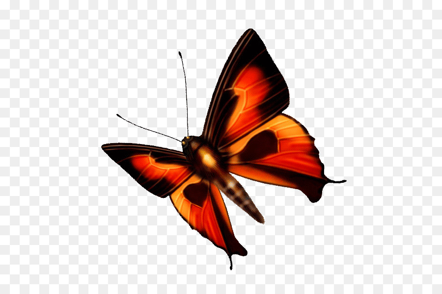 Schmetterlings-Bild-Blog-tragbares Netz-Grafik-Insekt - transparenter Hintergrund Schmetterling