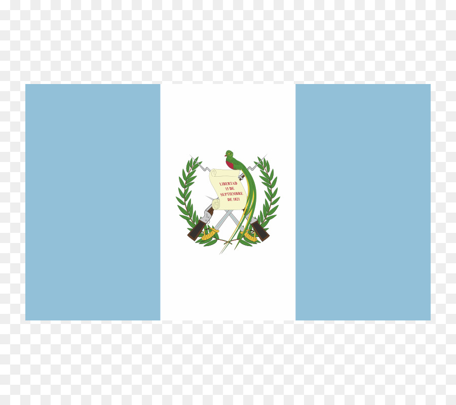 Bandiera del Guatemala stock photography Grafica vettoriale - guatemala flag png america centrale