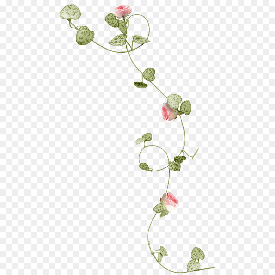 Rose Vine Flower ClipArt tragbare Netzwerkgrafiken - Sommerblumen Ballon Png Rebe