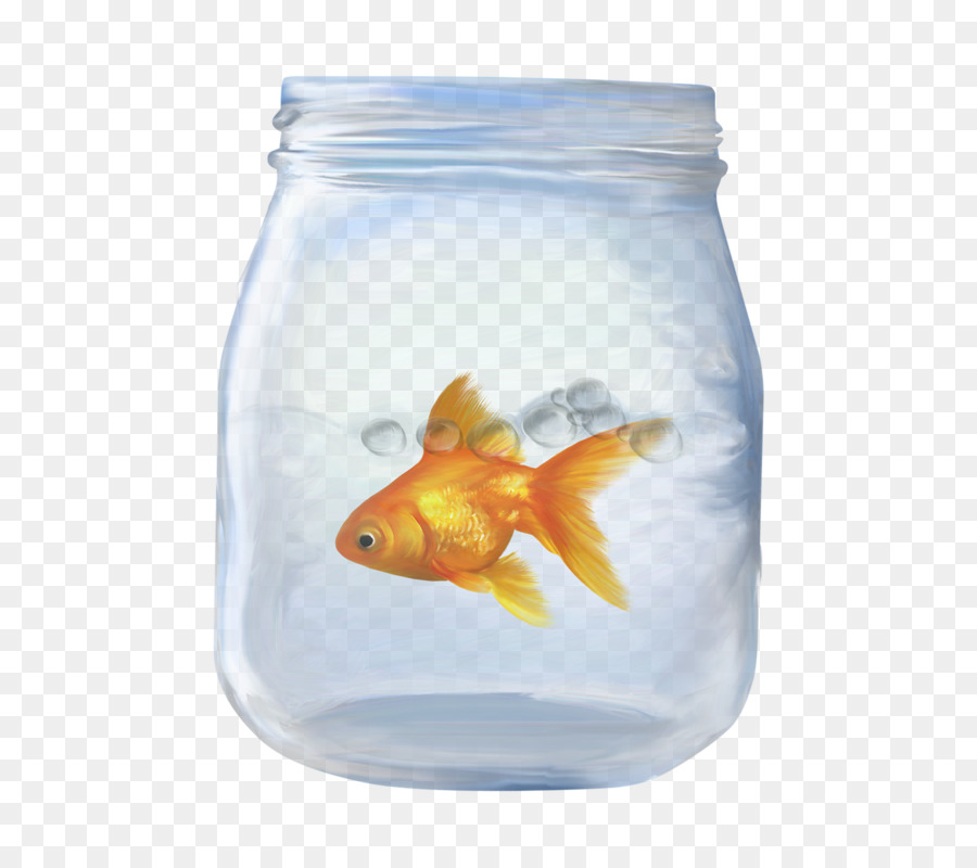Goldfish Portable Network Graphics Tải hình ảnh Cartoon - bóng bay mùa hè  png cá vàng png tải về - Miễn phí trong suốt Cá png Tải về.