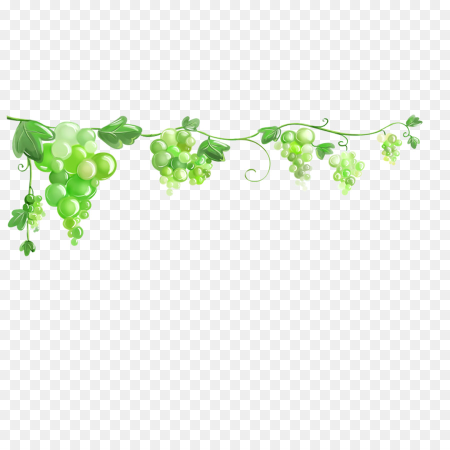 Clipart di immagine di carta da parati del desktop di vite comune dell'uva - uva