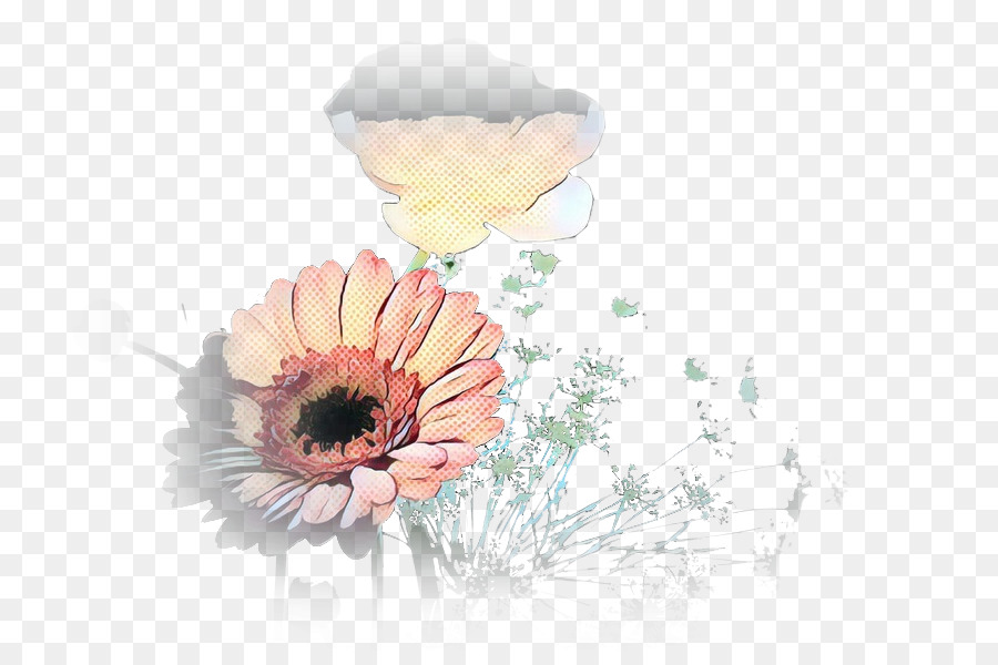 Transvaal Gänseblümchen Illustration Blumenmuster Desktop-Hintergründe - 
