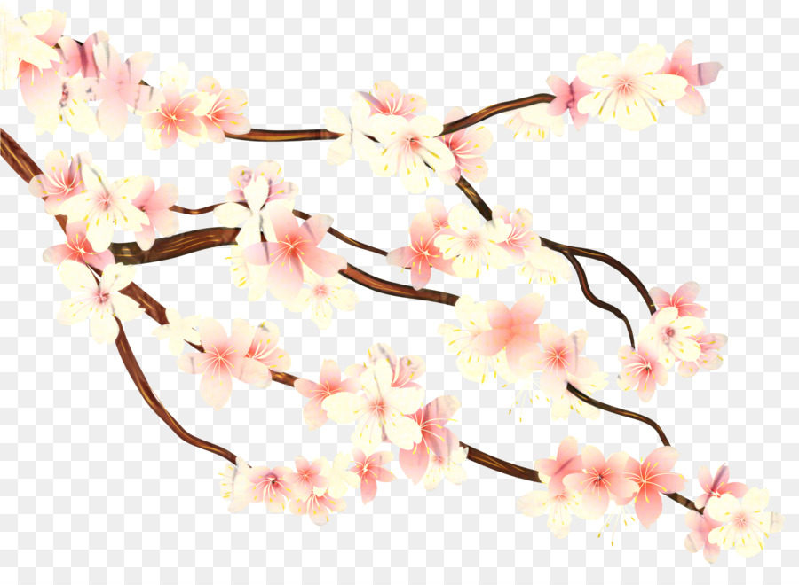 Clip art Portable Network Graphics Trasparenza dei fiori di ciliegio - 