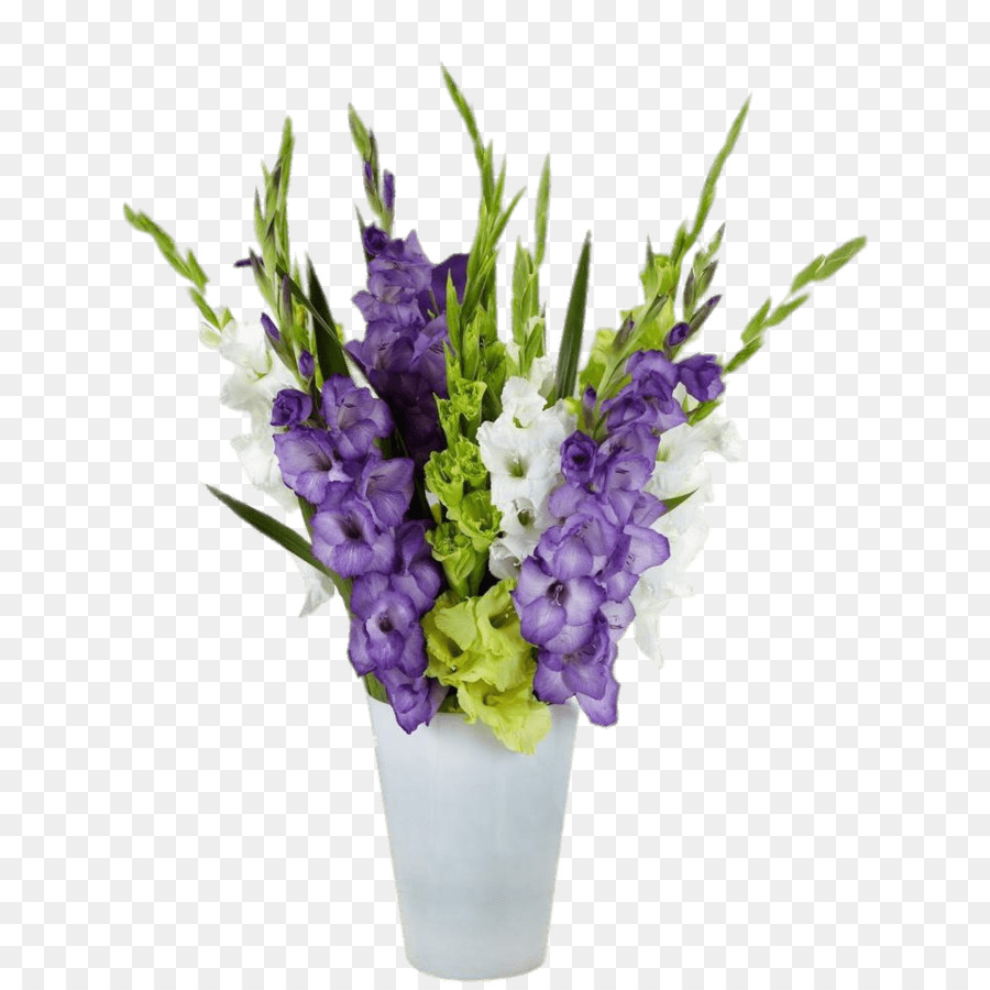Die Garten-Blume des Gladiolus-Birnen-Hirts - Gladiolen Aquarell