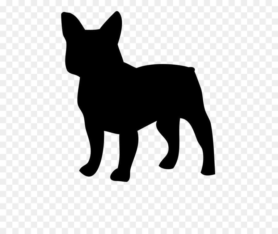Chó sục Pháp American Bulldog Pug Boston Terrier - con chó con dễ thương