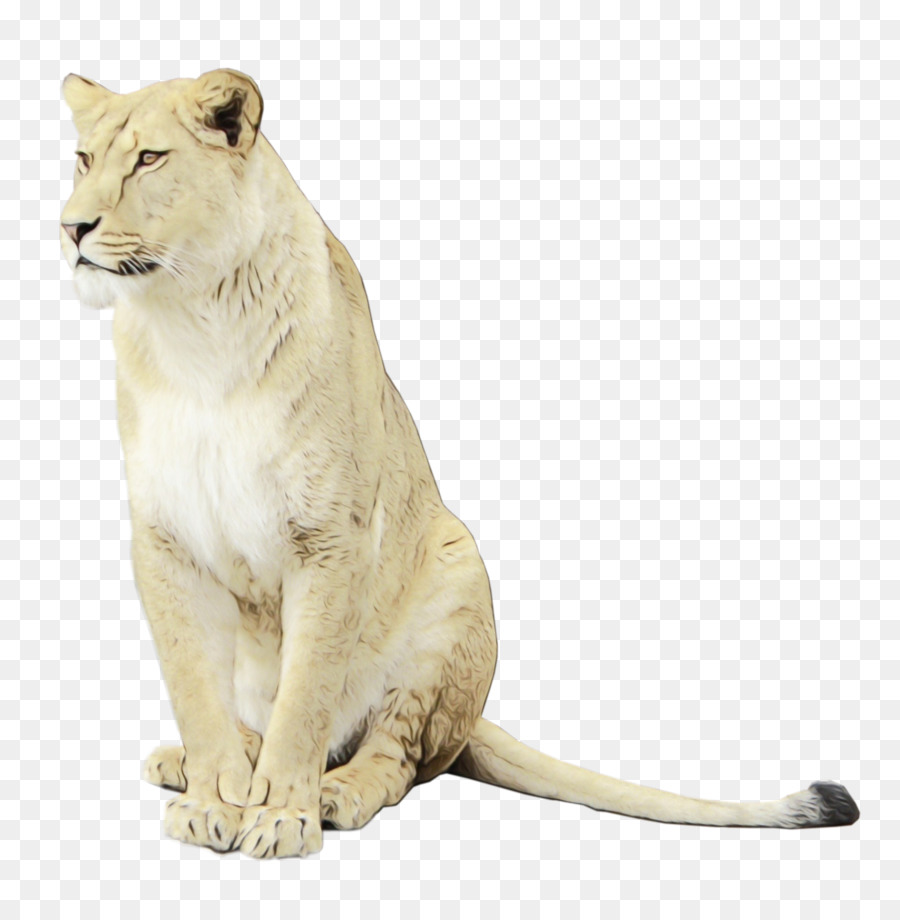 Portable Network Graphics Clip art Icone del computer di immagine del leone dell'Africa orientale - 