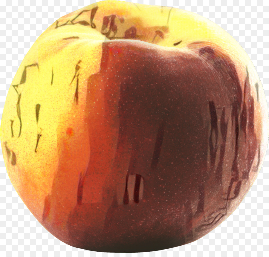 Winterkürbis Carving Apple - 