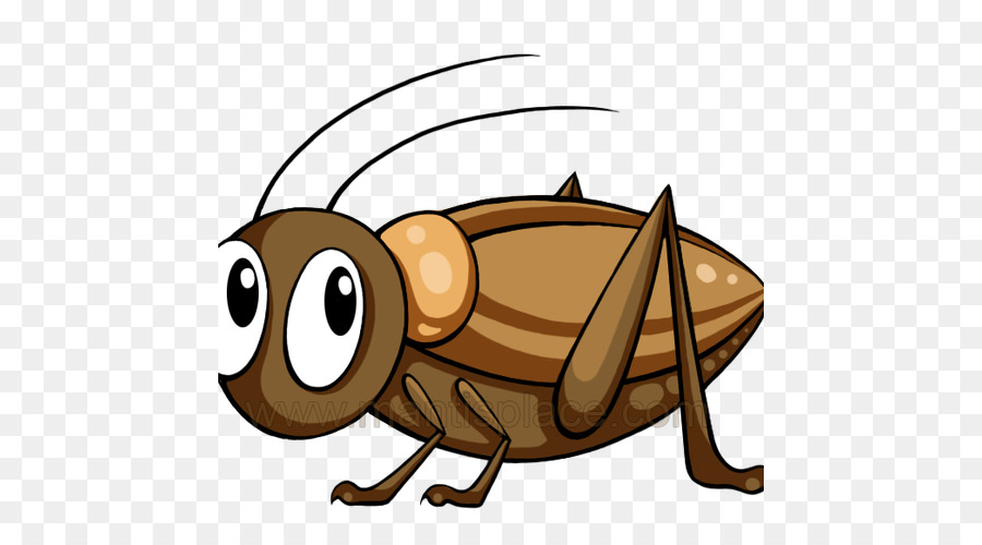 Insect Cartoon png download - 500*500 - Free Transparent Insect png  Download. - CleanPNG / KissPNG