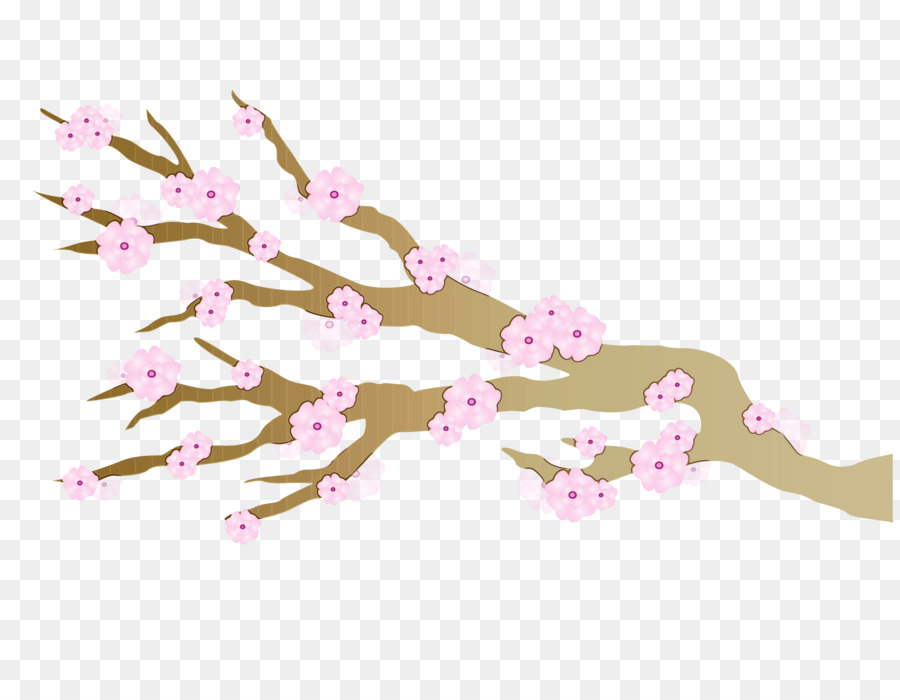 Cherry blossom Immagine Portable Network Graphics YouTube Video - 