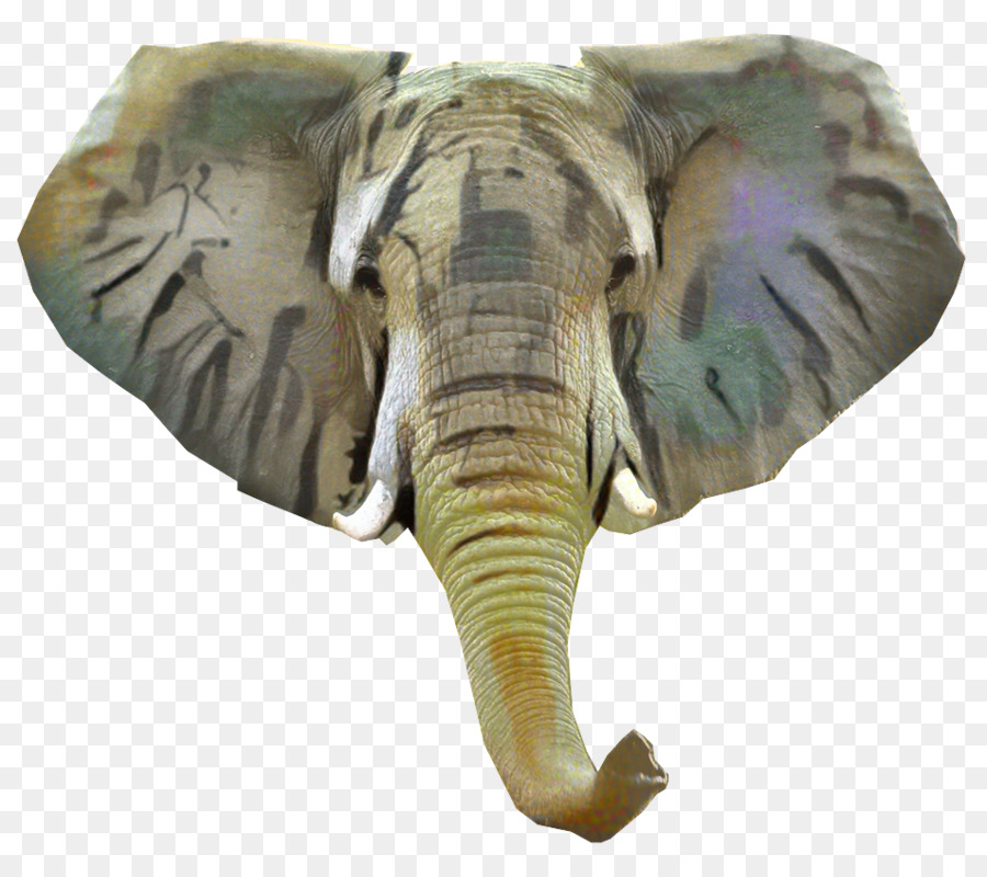 Indischer Elefant afrikanischer Elefant Terrestrischen Tier - 