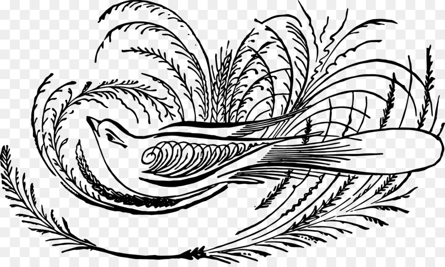 Art Drawing Calligraphy Illustration Design - mit montag vogel png wochenende