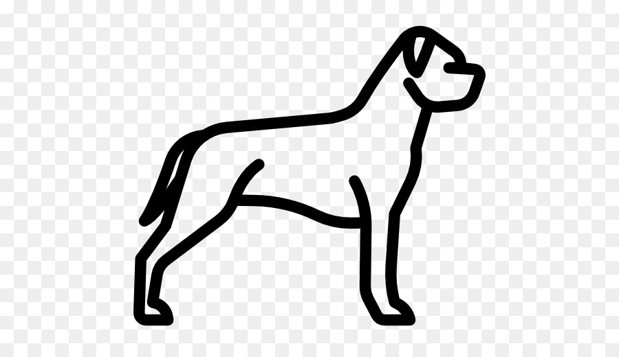 American Terordord Terrier Staffordshire Bull Terrier American Pit Bull Terrier Jack Russell Terrier - vui cha biên giới png terrier