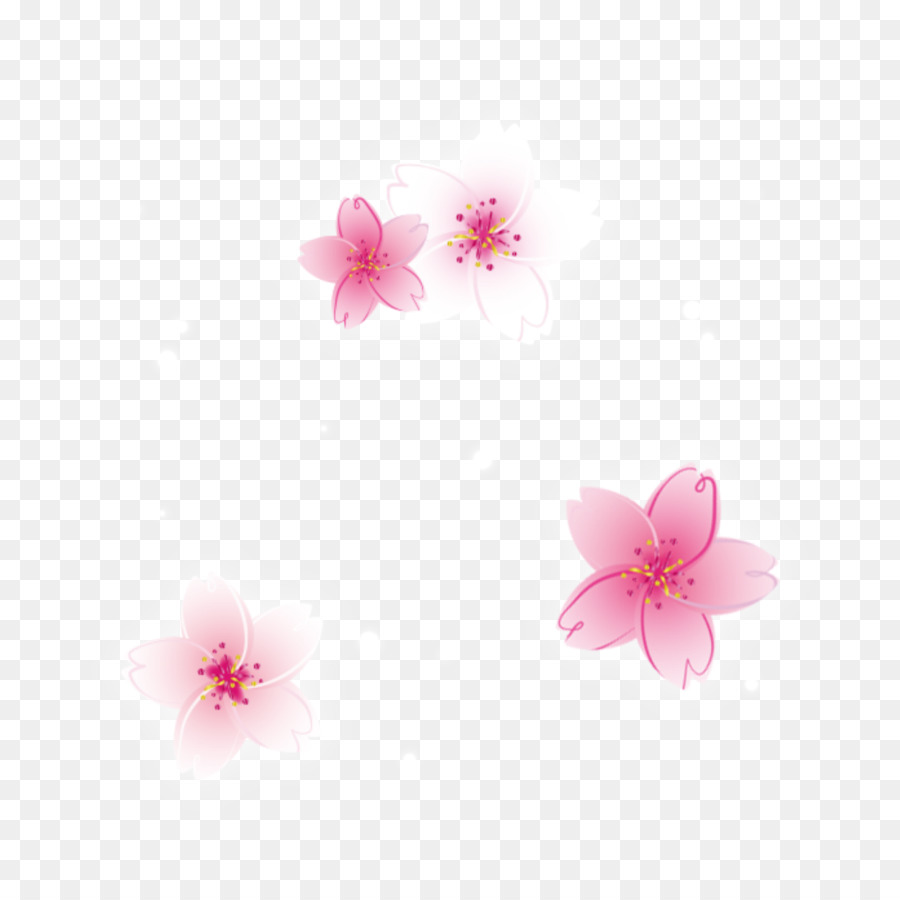 Cherry Blossom Cartoon png download - 1024*1024 - Free ...